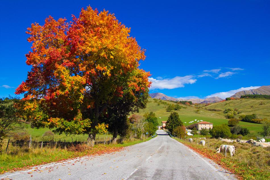 Fall in Italy