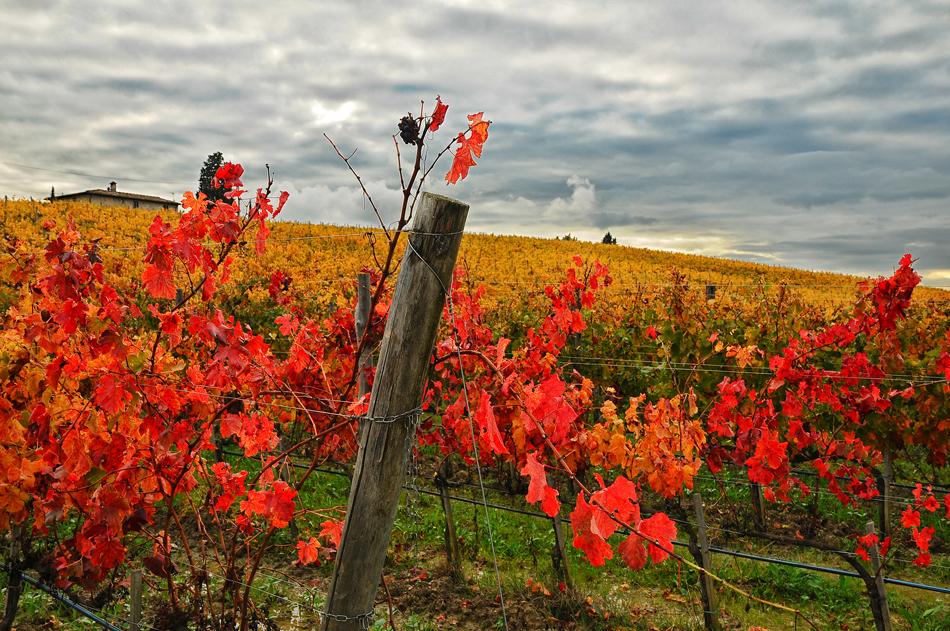 Fall in Italy