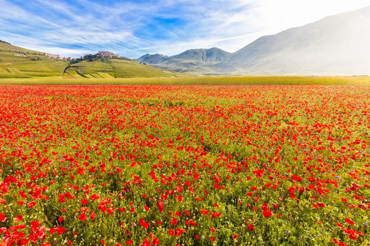 Castelluccio di Norcia