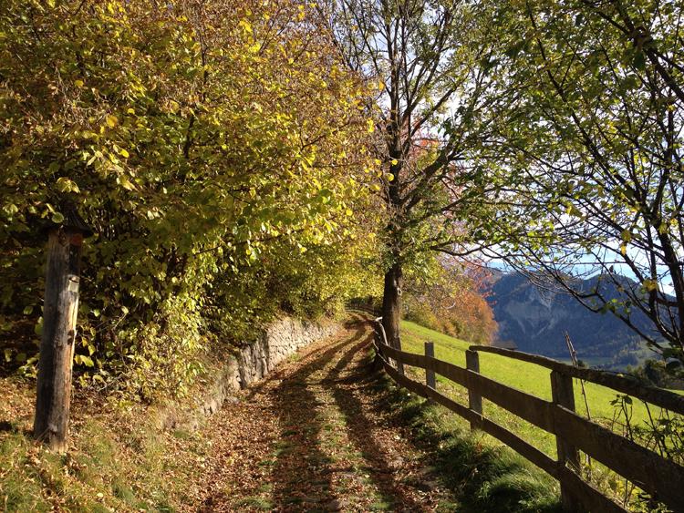 Autumn in South Tyrol