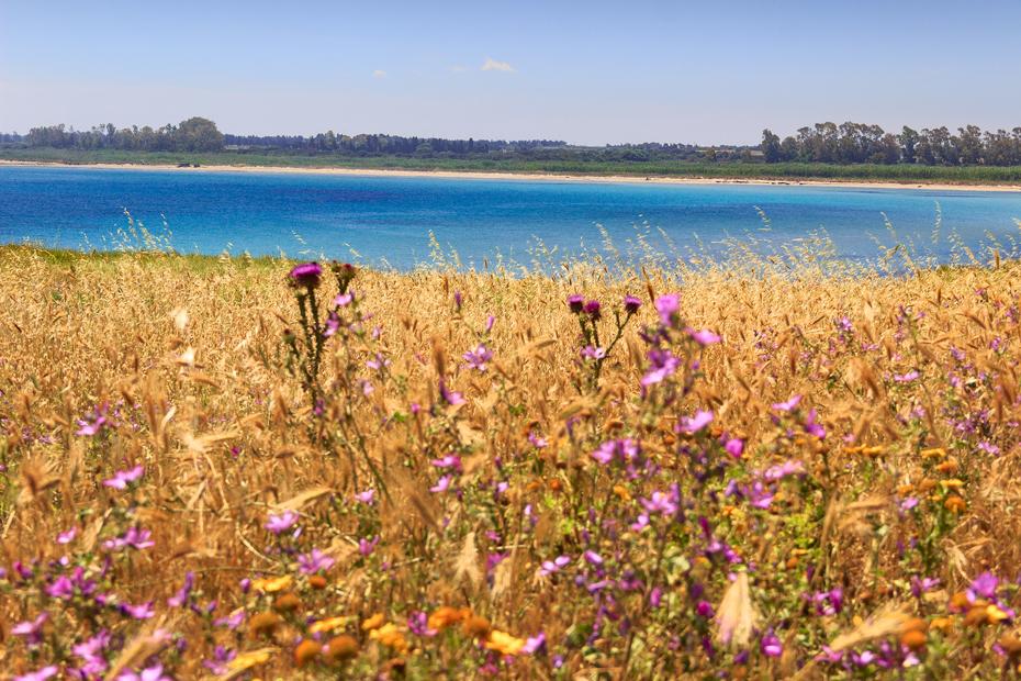 eco-friendly beaches in Italy